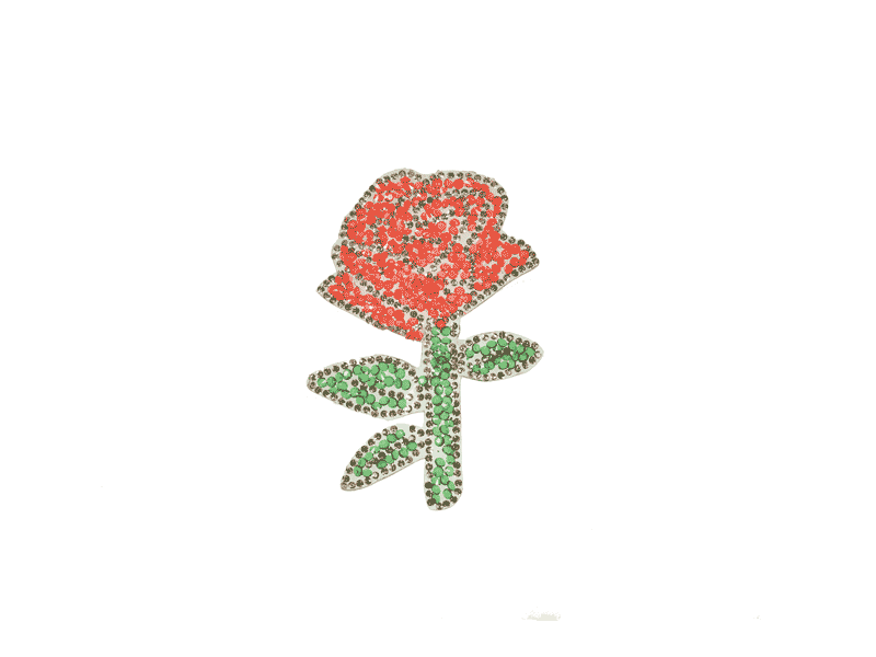 roos strass applicatie
