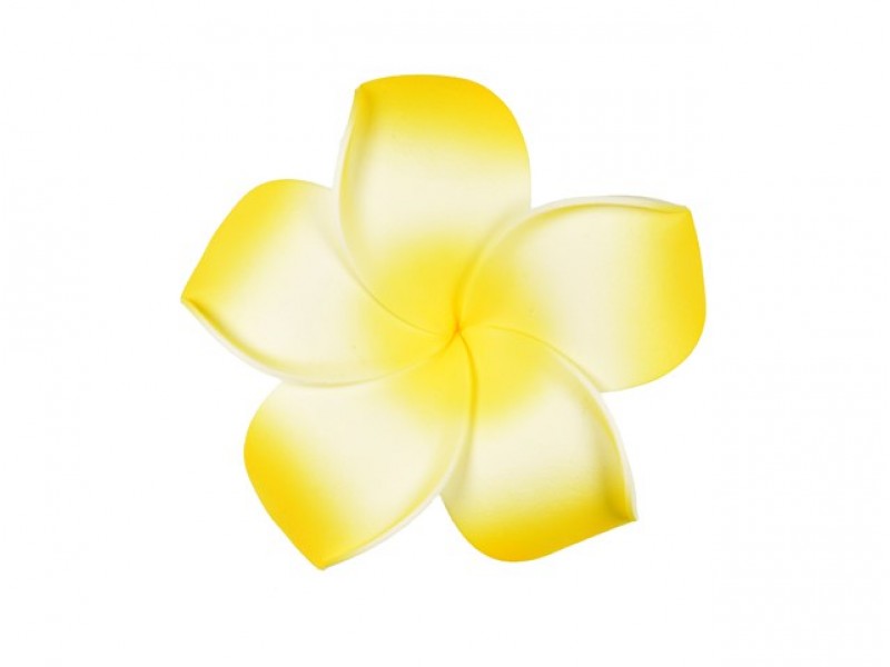  corsage hawaii  geel groot