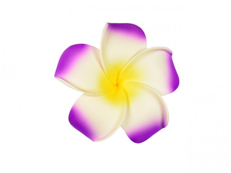  corsage hawaii paars groot