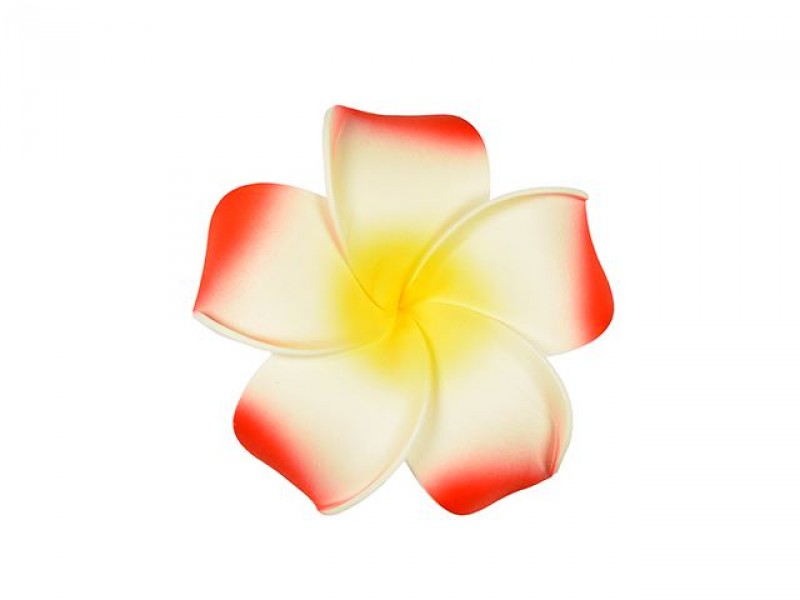  corsage hawaii rood groot