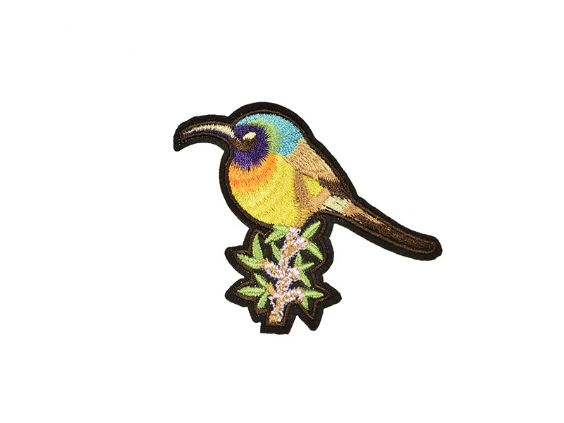 applicatie ijsvogel op tak