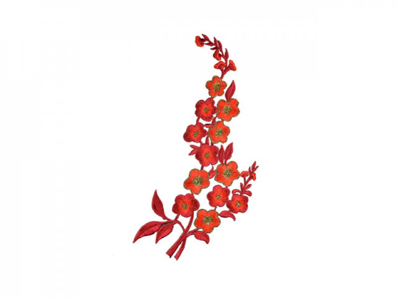 applicatie petunia rood