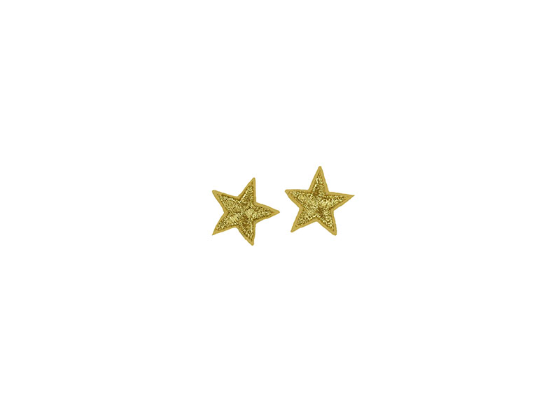 applicatie ster goud 2,5 cm 2 stuks