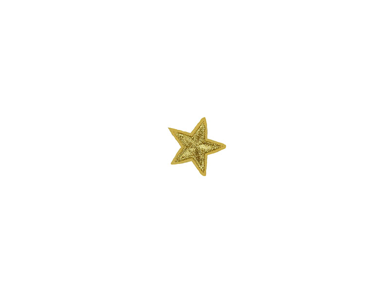 applicatie ster goud 3 cm