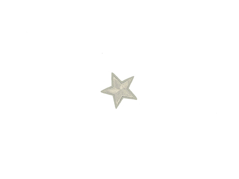 applicatie ster wit 3 cm