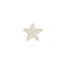 applicatie ster wit 4,5 cm