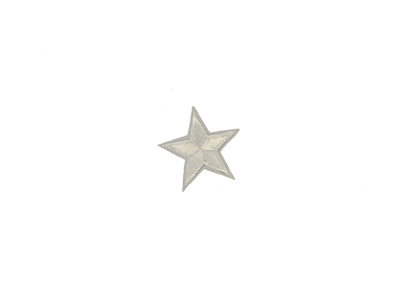 applicatie ster wit 4 cm