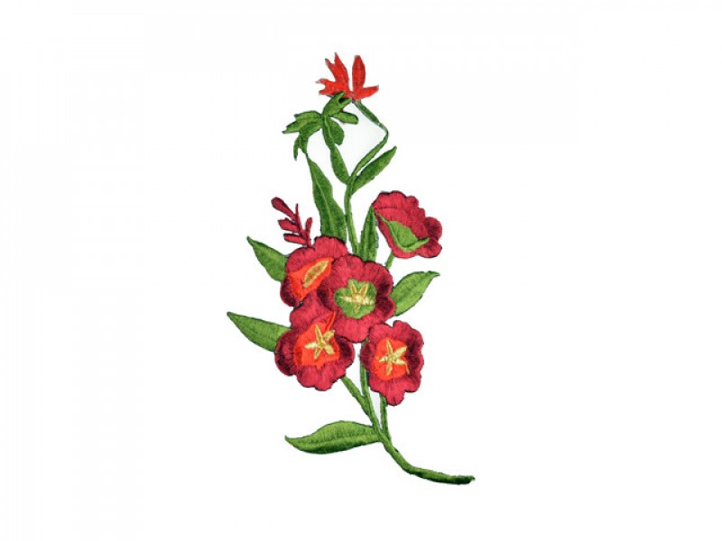 applicatie veldbloem rood