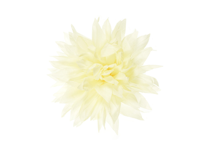 bloem corsage vanille wit dahlia