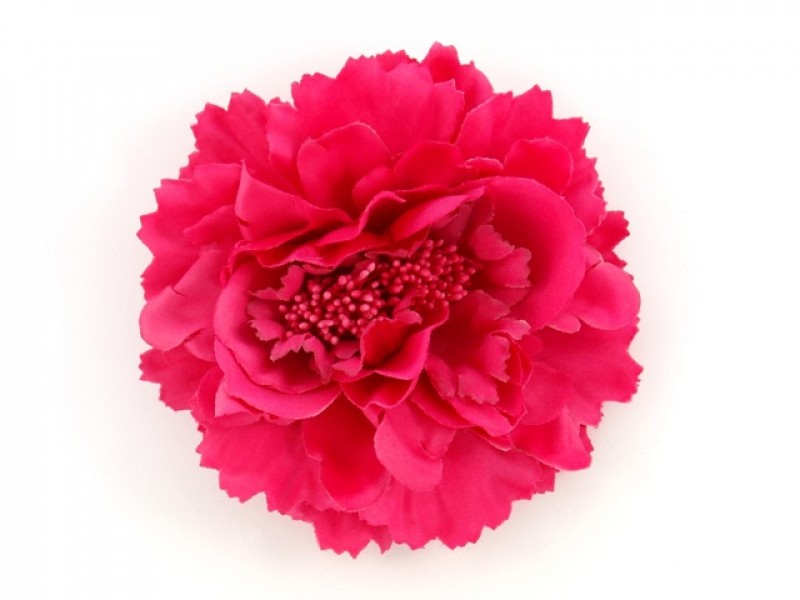 corsage fuchsia