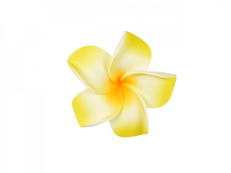  corsage hawaii  geel middel