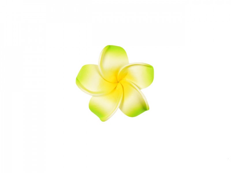  corsage hawaii groen klein