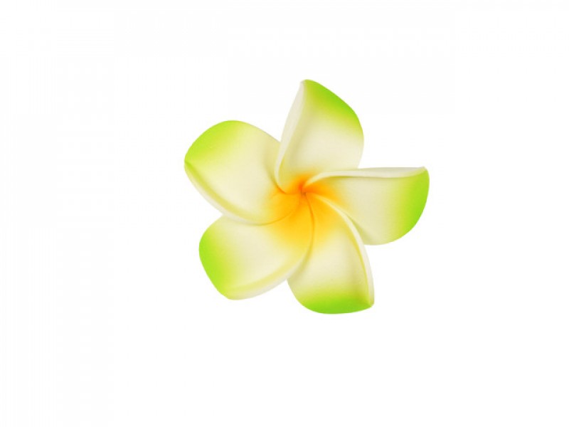  corsage hawaii groen middel
