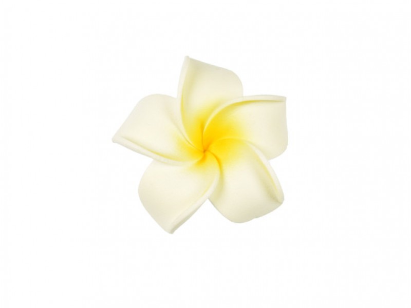 corsage hawaii wit middel