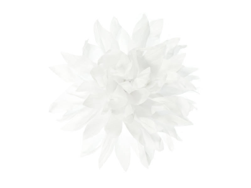 corsage wit dahlia