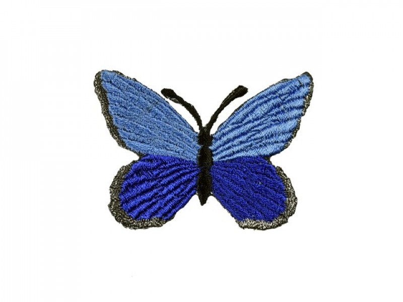 vlinder applicatie blauw